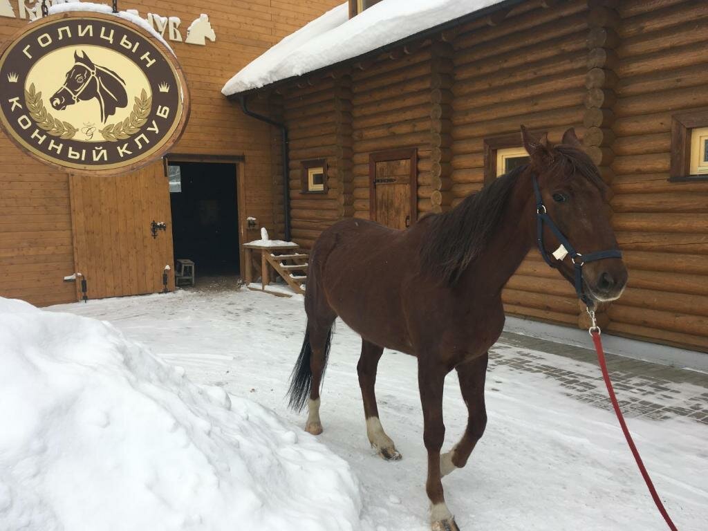 Парк-Отель Голицын Клуб Голицыно-101